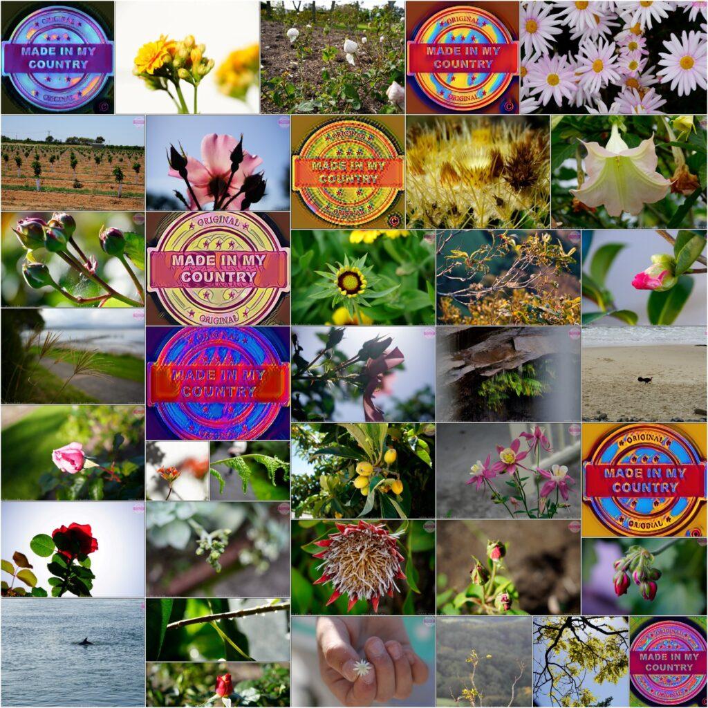 Made in Australia! MadeinMycountry is a global platform that celebrates and supports local history, culture, art and nature conservation efforts. For two decades, we have been sponsoring local museums, cultural organizations, travel destinations, historical sites and various cultural events around the world.