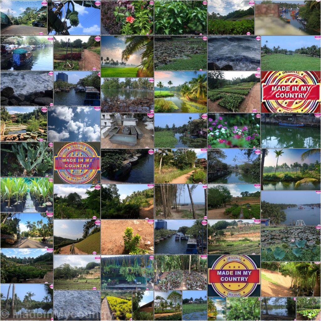 MadeinMycountry India! MadeinMycountry is a global platform that celebrates and supports local history, culture, art and nature conservation efforts.