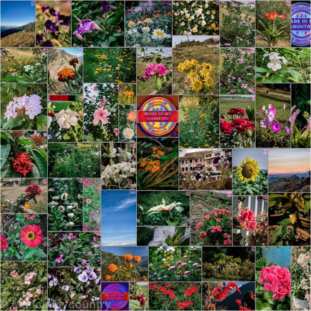 MadeinMycountry Nepal, home of Everest, the eternal "guardian" of the Himalayas, birthplace of Buddha. MadeinMycountry is a global platform that celebrates and supports local history, culture, art, and nature conservation efforts.